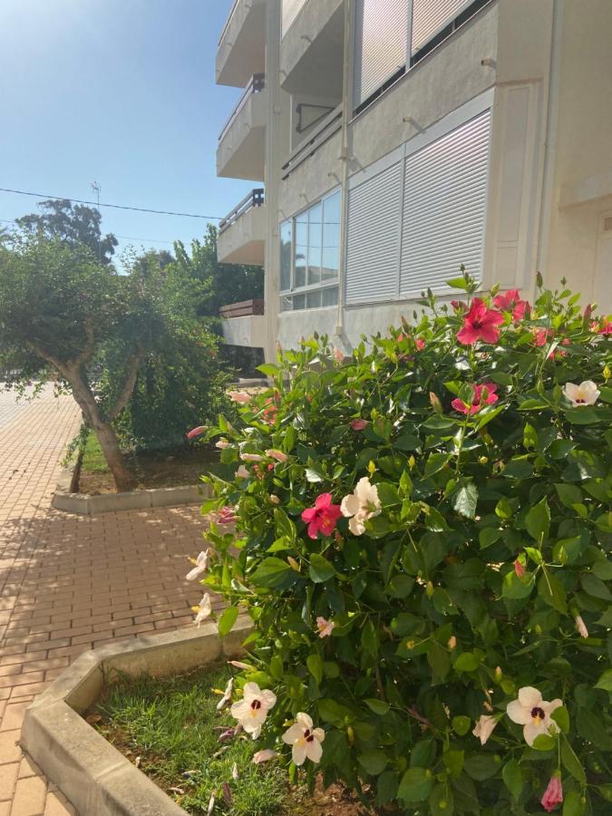 Vistas Al Mar Playa De Los Bovetes Denia Exterior photo